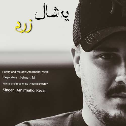 امیرمهدی رضایی یه شال زرد